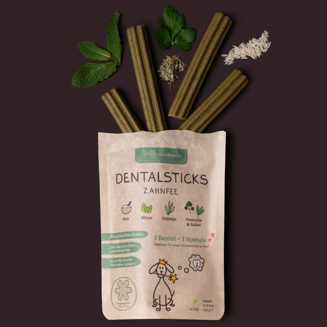 Dental Stick Zahnfee (9VPE)